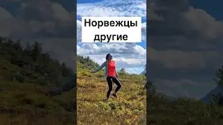 Норвежцы другие #норвегия
