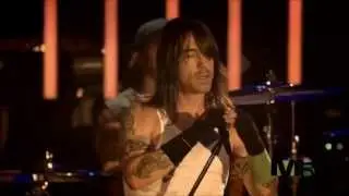 RHCP - Scar Tissue - Live Milan 2006