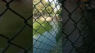 pratapgarh farms boating 