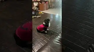 Waiting for the magic word.