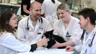 WCVM Veterinary Medical Centre