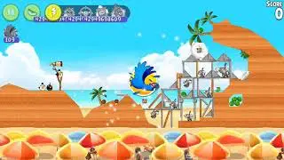 Angry Birds Rio Beach Volley All levels