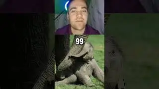 Ученые хотят оживить мамонта 