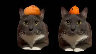 штучки котинет и его друзья мощностьзлодеем 