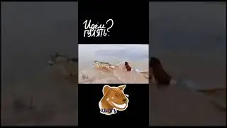 идем гулять/ tik tok funny