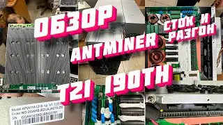 Antminer T21 Сток прошивка VS кастом. Первый взгляд от 7Miners