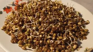 मूंग दाल अंकुरित करने का सबसे आसान तरीका |Ankurit Moong dal|Moong Sprouts|Ankurit moong dal ke fayde