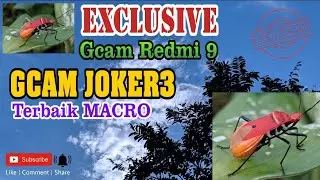 Exclusive Gcam Redmi 9 Terbaik Mode Macro | Gcam JOKER3 Super Jernih & Detail