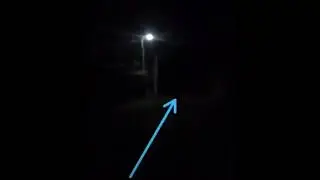 Llorona en predio baldío