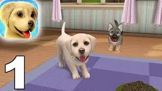 Dog Town: Pet Simulation Game - Gameplay Walkthrough Video (iOS Android)