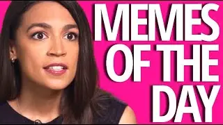 THE QUEEN OF STUPID SOMEHOW OUTSTUPIDS HERSELF