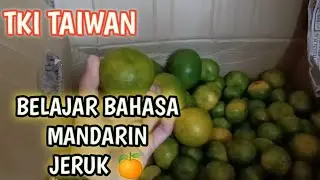 BELAJAR BAHASA MANDARIN JERUK -TKI TAIWAN