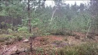 soft rain for sleep   white noise for sleep