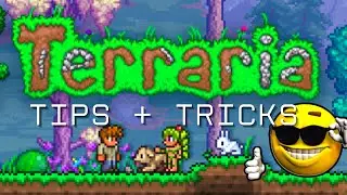 Terraria BEGINNER Tips and Tricks vol. 1