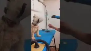 'Don't touch me!'