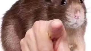 I'm horny rn