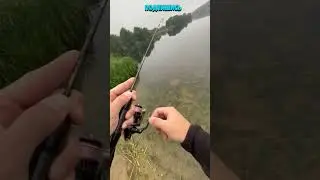 Рыбалка на окуня #shorts Рыбак Подпишется!😍