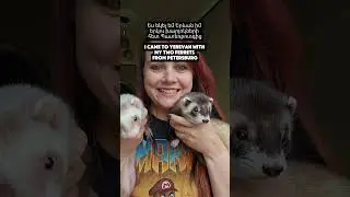 Начала изучать армянский язык