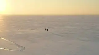 A Collection Of Insane Survival Stories