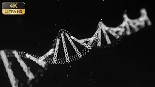 DNA (Deoxyribonucleic Acid) wireframe | Visual Elements | Animated stock footage