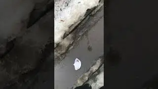 Запустили кораблик