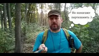 Движение в лесу по азимуту