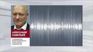 Александр Савельев о сёмге, самой токсичной еде в мире