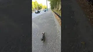 29 августа 2024 г.