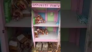 Community pantry checkin - are dill pickle chips good?
