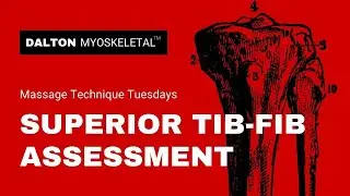 Superior Tib-Fib Assessment Technique with Erik Dalton