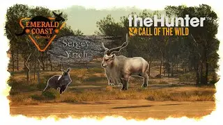theHunter: Call of the Wild™ | Австралия. | 1 стрим.