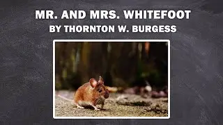 MR. AND MRS. WHITEFOOT - Whitefoot the Woodmouse / to listen the book