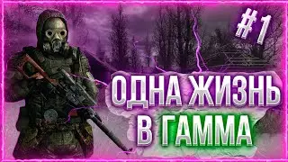 ОДНА ЖИЗНЬ НА ХАРДКОРЕ В STALKER GAMMA #1