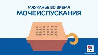 Диетический рацион Hill's Prescription Diet c/d Urinary Stress для взрослых кошек