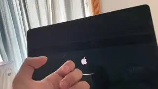HELP my Mac is updating to Catalina!