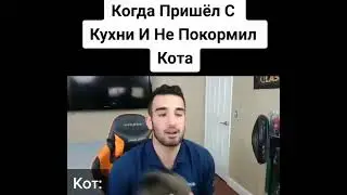 когда не покормил кота
