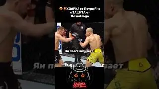 😻💥Как нужно ЗАЩИЩАТЬСЯ от УДАРОВ 