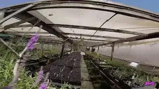 FPV -  UFO