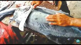 Giant Trevally fish Cutting Skills at Village Street Fish Market || Fishing Video