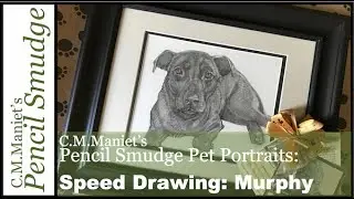 Murphy Speed Drawing