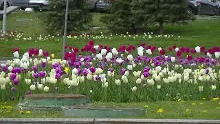 Метро и ТПУ 