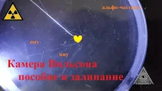 Камера Вильсона