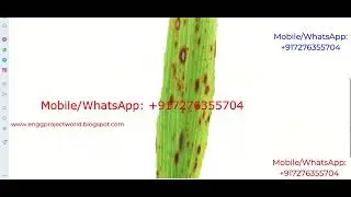 Paddy Plant Disease Identification Using Image Processing Python Project With Source Code