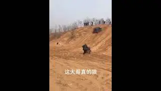 jav hd