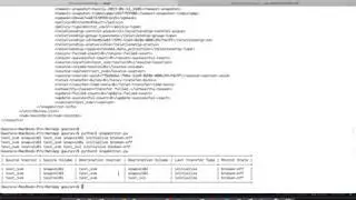 7.  Snapmirror Report using NetApp API