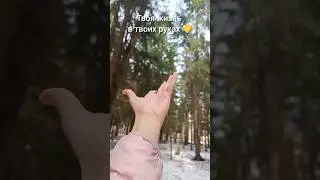 А вы хотели бы пробудиться и узнать о своем потенциале?! 🙏