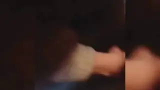 Счастливый песец