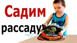 Садим рассаду в феврале 2018г.