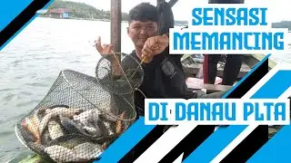 The sensation of the extraordinary attraction of fishing in the Riau hydropower lake