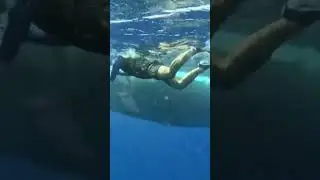 Нырнул в океан и встретил кашалота! 